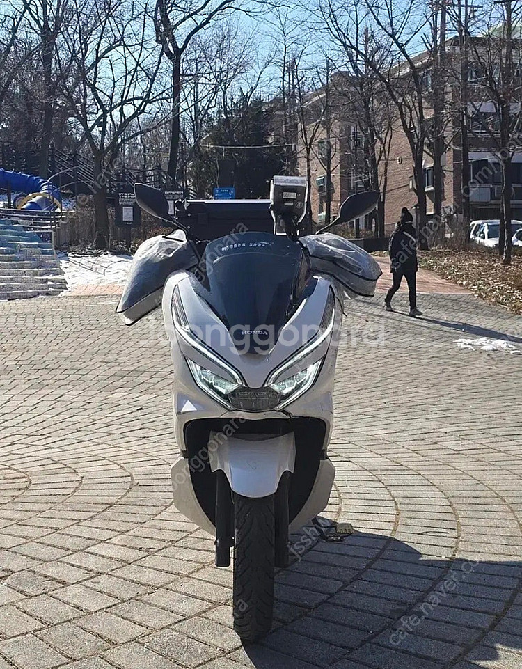 Pcx125 20년식--6