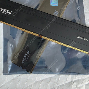 micron ddr5-5600 cl46 팝니다