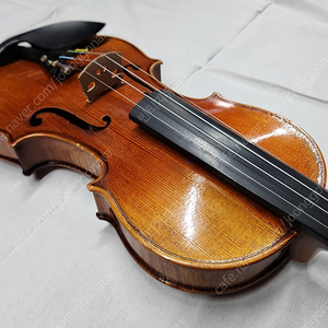 심로악기 Cadenza 바이올린 4/4 중고