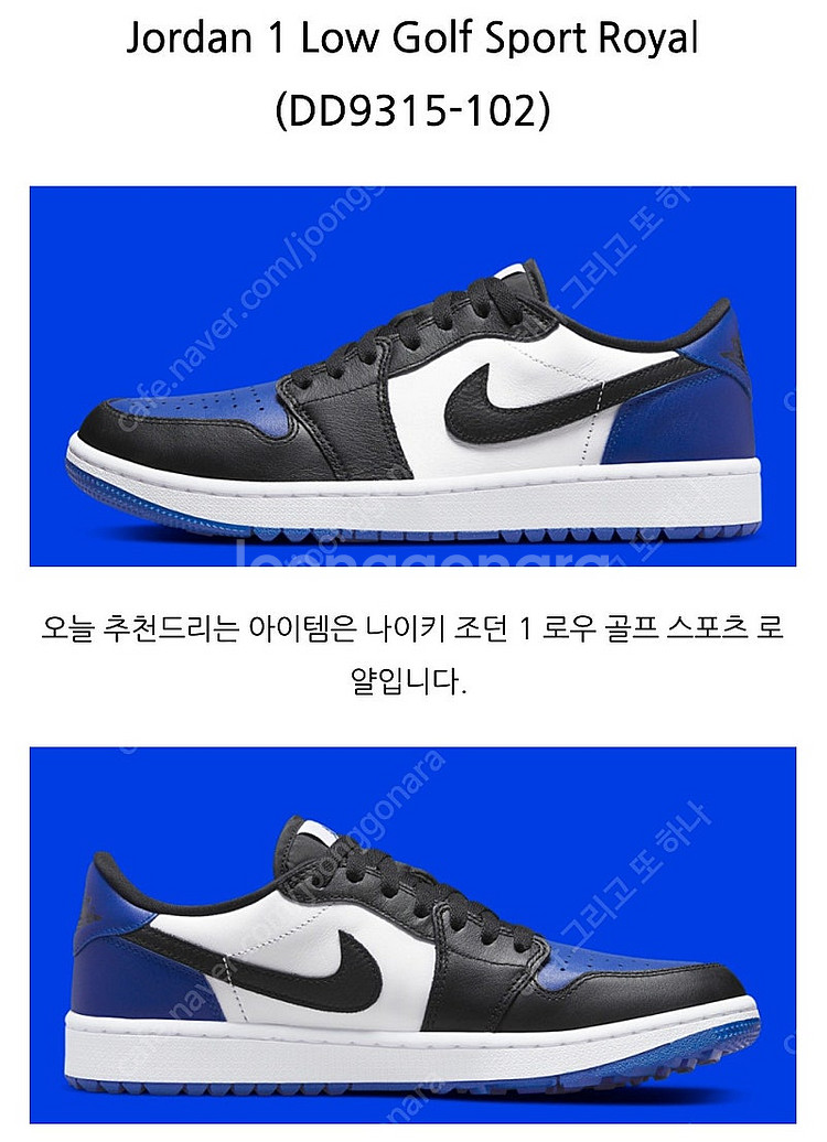 Jordan 1 Low Golf Sport Royal--3