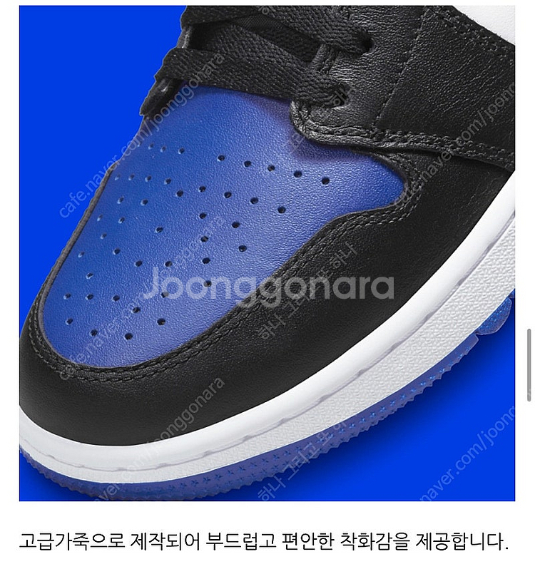 Jordan 1 Low Golf Sport Royal--6
