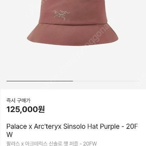 아크테릭스 팔라스 신솔로 햇 팝니다