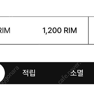 아난티 림 1000 판매합니다. 5만원.