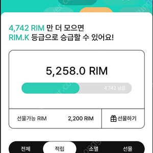 Rim 2000 팝니다