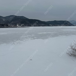 조텍 5090 amp 취소하실분 저한태 파세여