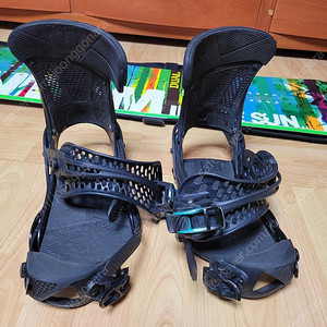 제네시스, 다이오드 바인딩, 하이백 , 라쳇 등