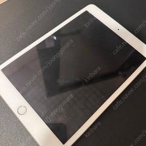 iPad mini3 아이패드 미니3 (64GB, Wi-Fi)[부품용]