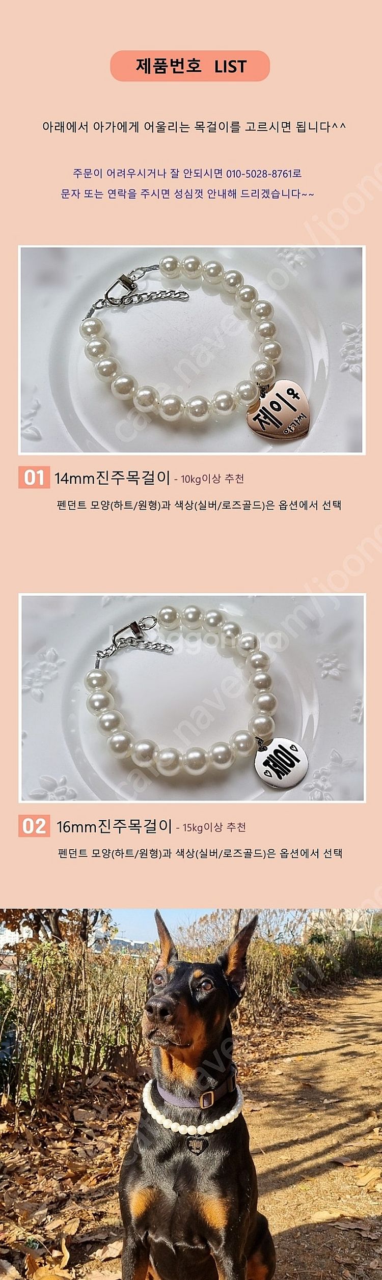 아주 튼튼한 대형견 진주 목걸이 판매합니다--4