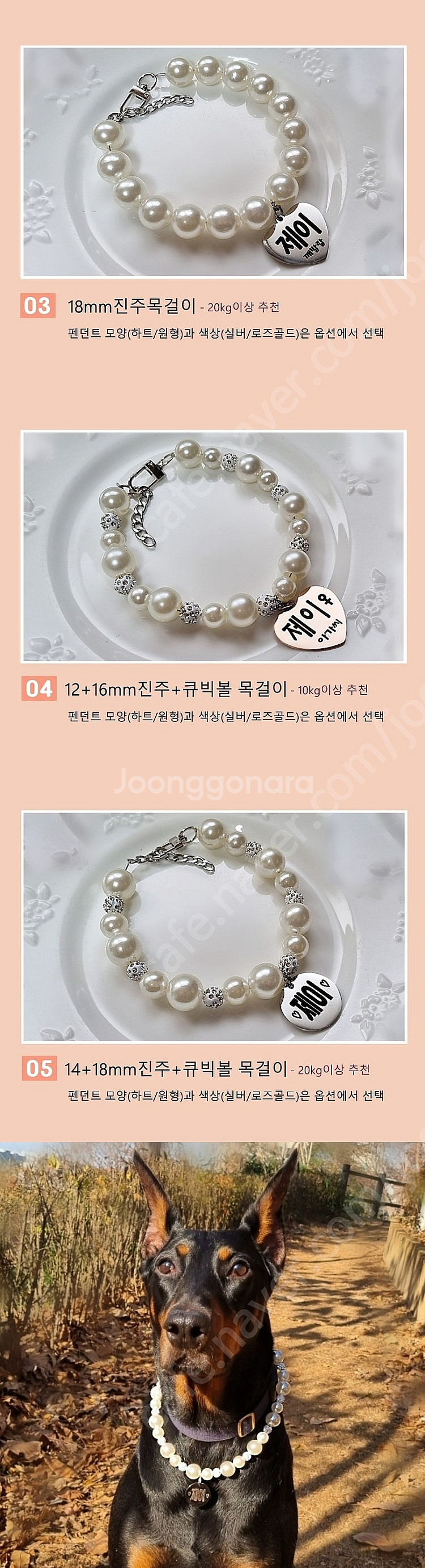 아주 튼튼한 대형견 진주 목걸이 판매합니다--5