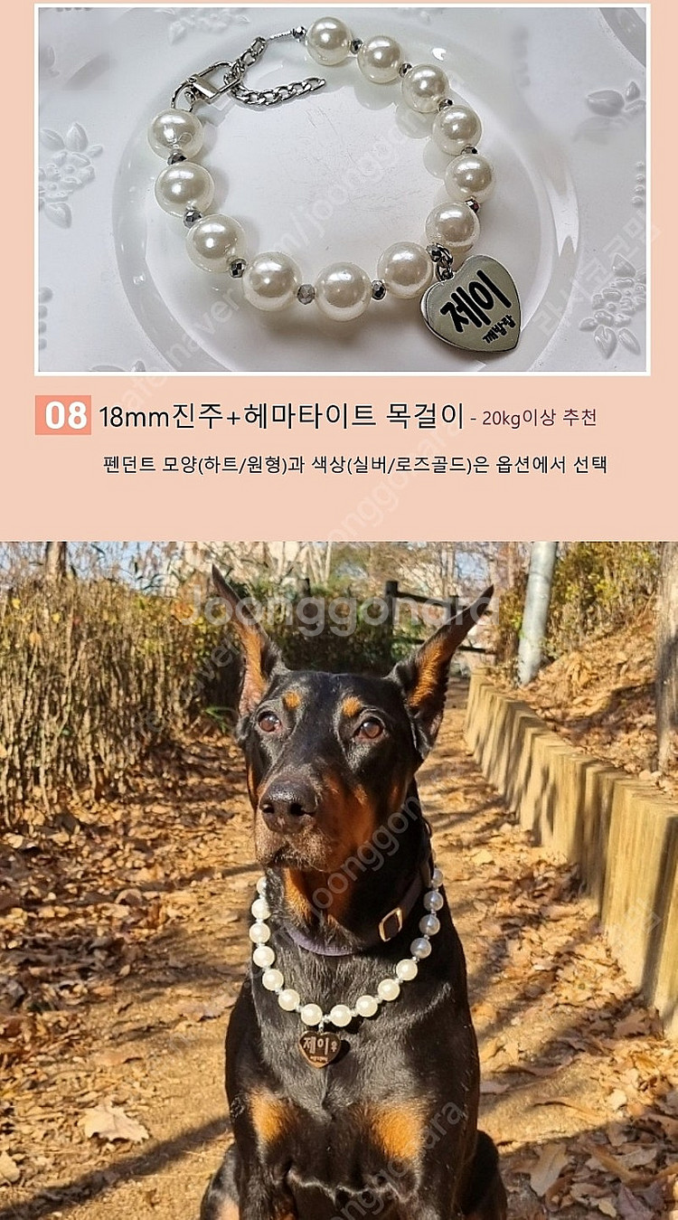 아주 튼튼한 대형견 진주 목걸이 판매합니다--7