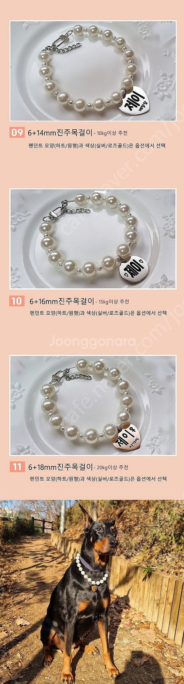 아주 튼튼한 대형견 진주 목걸이 판매합니다--8