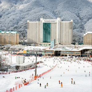 3월1일 대명 홍천비발디 1박구함