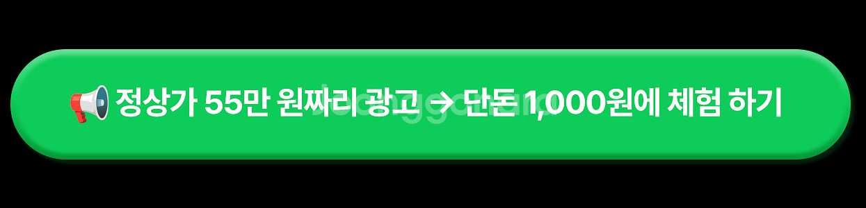 입문용카메라, 펫캠, CCTV추천, 주연CCTV, 니콘...--2