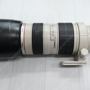 캐논 70-200(엄마백통) , 70-200(형아백통) ,시그마 70-200 OS (옆집아빠),28-70L ,135mm F2.0 (큰사무엘) , 100mm F2.8 MACRO, 5