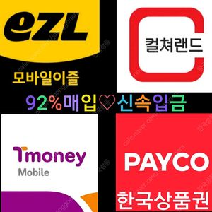 티머니/컬쳐랜드/이즐/페이코포인트 삽니다^^