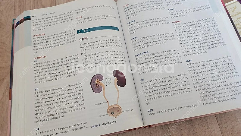 수문사 성인간호학 9판 1,2 팝니다.--2