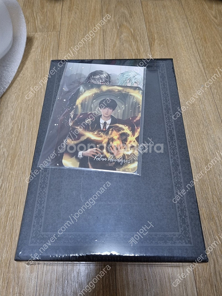 텀블벅 적왕사 및 로판소설 판매합니다.--0