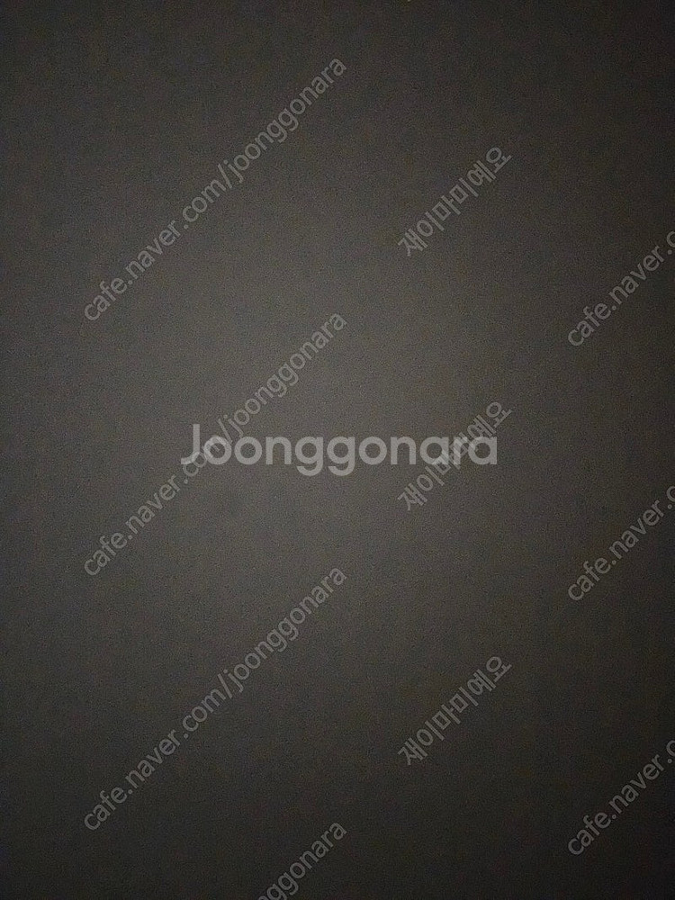 도고파라다이스--0