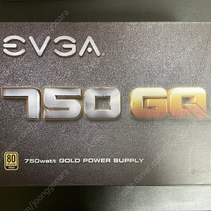 EVGA 750 GQ 750W 골드 파워