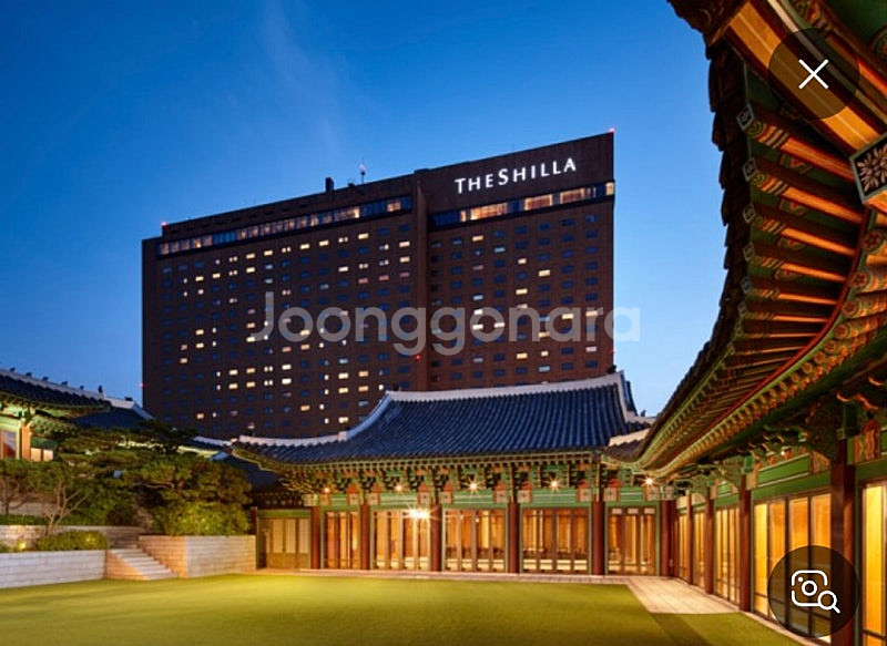 3월1일-2일 강릉 애견펜션 호텔삽니다--0