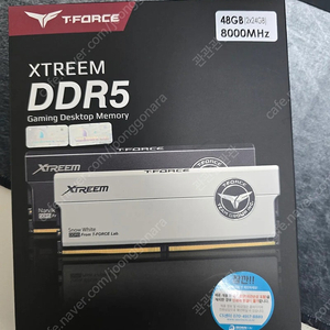 TeamGroup 팀그룹 DDR5 8000 CL38 XTREEM 패키지 서린 (48GB(24Gx2))