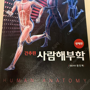 간추린 사람해부학 (현문사)-반값택배포함