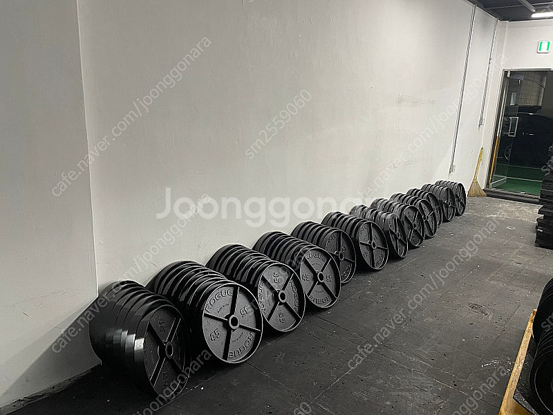 로그피트니스 주물원판 딥디쉬플레이트 roguefitne...--1