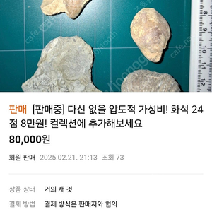 각종 화석 판매(박물관급, 고퀄리티, 교육용, 희귀)