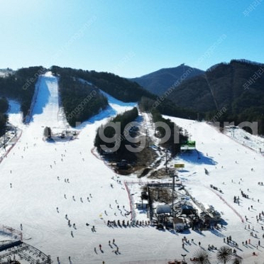 엘리시안 강촌 스키장 리프트+장비렌탈 8시간이용권 2장 일괄 판매합니다!--0