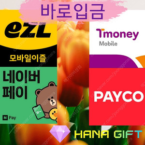 티머니/이즐/페이코/컬쳐랜드/페이코 삽니다.