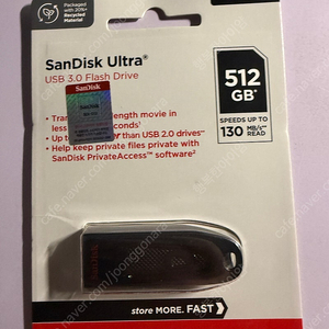 샌디스크 512gb USB