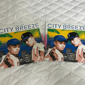 박재범 x 기린 (Jay Park x Kirin) - City Breeze 7인치 한정반 바이닐 (LP) 미개봉