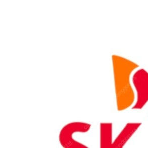 skt데이터 2기가