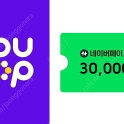 네이버페이 3만원권