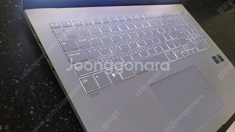 [판매]LG 13세대 17인치 i7 고성능 그램/램32...--5