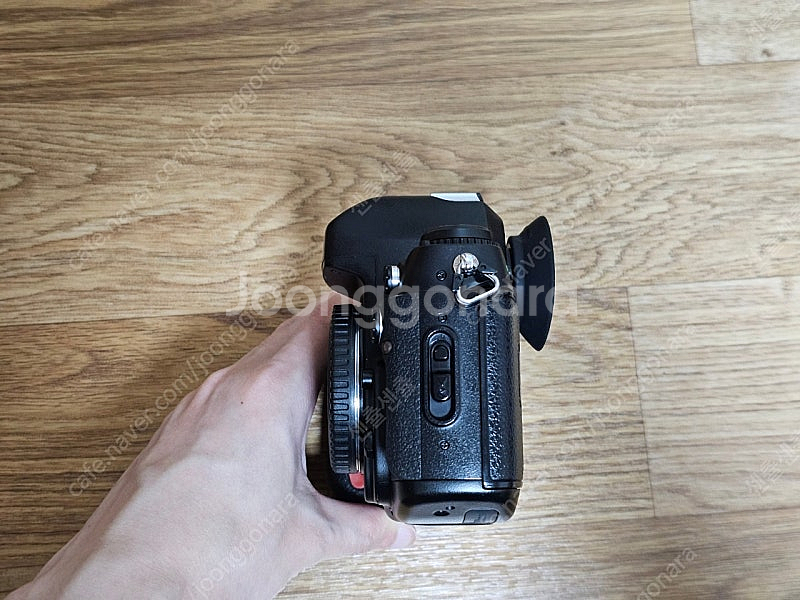 소장용 니콘 f100 + 50.8d--2