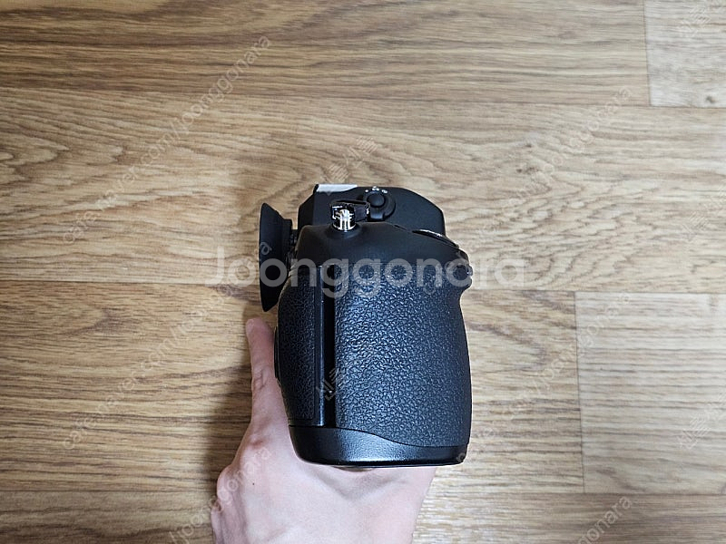 소장용 니콘 f100 + 50.8d--4