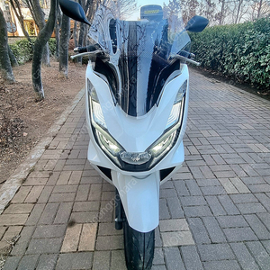 pcx125 23년식 abs 5100키로 신차급 컨디션