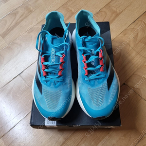 아디다스 보스톤12 260