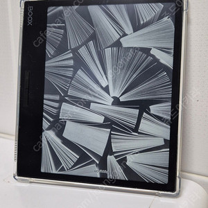 오닉스 페이지 국내정발 판매합니다