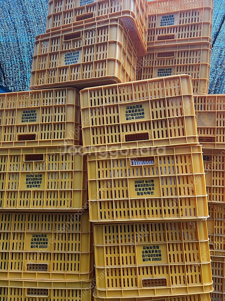 사과박스 콘티박스--2