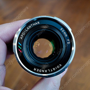 보이그랜더 아포란타 Apo-Lanthar 50mm F2 M마운트