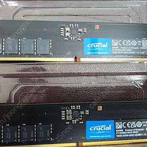 마이크론 크루셜 DDR5-5600 CL4 16gbx2