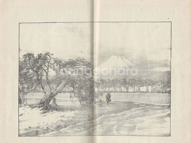 東洋之佳人( 동양지기우 ) <1888년 출판 일본원서>...--3