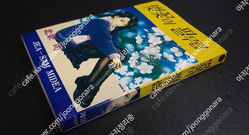 벚꽃이 필무렵(1994) / 호조 츠카사(시티헌터作) / 해적판 하나밖에 없는 초희귀절판 이미지