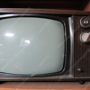 금성 흑백,칼라TV