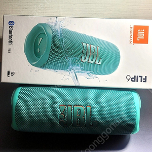 jbl flip6 플립6 깨끗