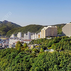 (오늘가실분) 소노문 단양 패밀리 21만~