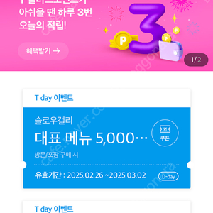 티데이 슬로우캘리 쿠폰 300원에 팔아요