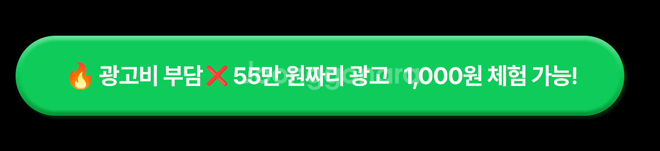 엘파마하이브리드자전거 홍보, 더 이상 비싸게 하지 마세...--1
